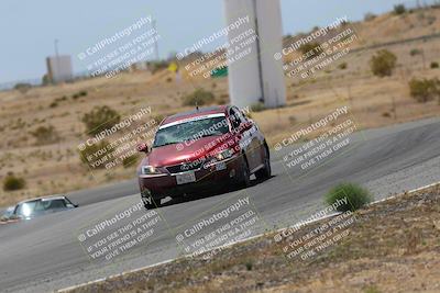 media/May-03-2025-Lucky Dog Racing (Sat) [[206de64b9d]]/Turn 6 (150pm-230pm)/